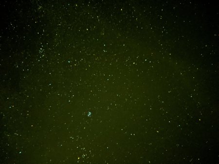 IMG_20210817_033013.jpg