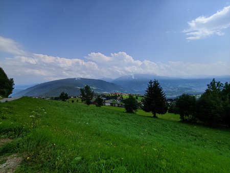 IMG_20210816_145204.jpg