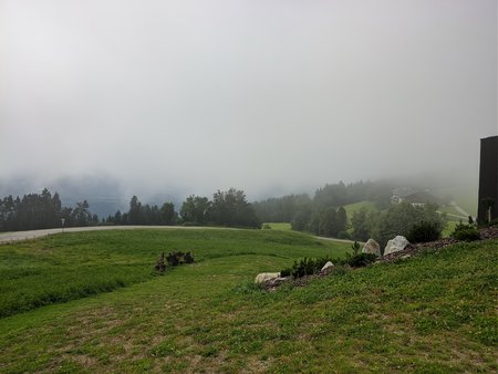 IMG_20210816_115856.jpg