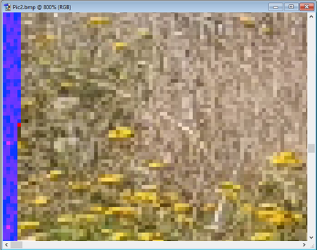 Text als Pixel.png