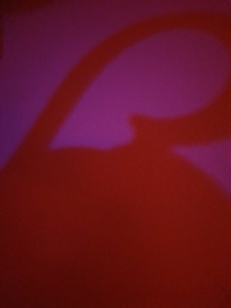 20210624_003258.jpg