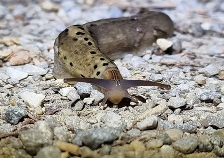 20210820_224537.jpg