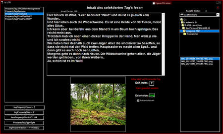 Exif-Reader mit besonderen Explorer.png