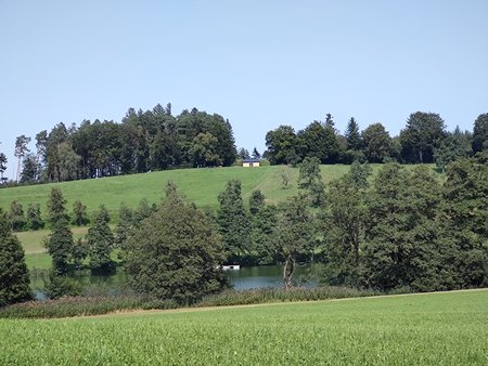 IMG_20210821_151236699.jpg