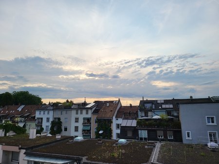 20210821_192456.jpg
