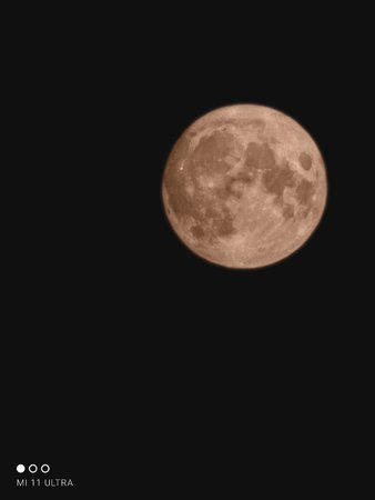 IMG_20210821_212548.jpg