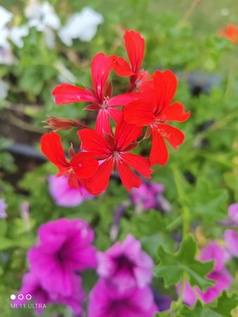 IMG_20210821_164040.jpg