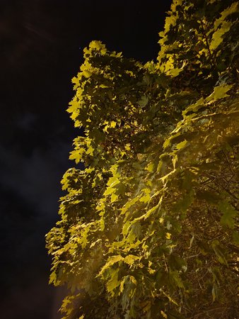 20210822_215612.jpg