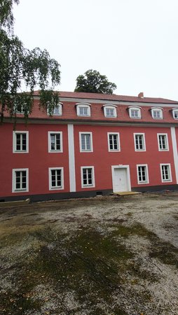IMG_20210824_093924.jpg