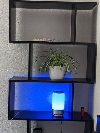PXL_20210824_132732145.jpg