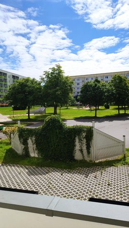 IMG_20210825_121906.jpg