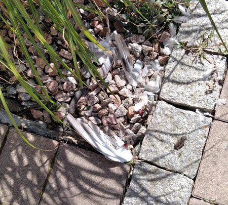 2021-08-25_13h56_34.jpg