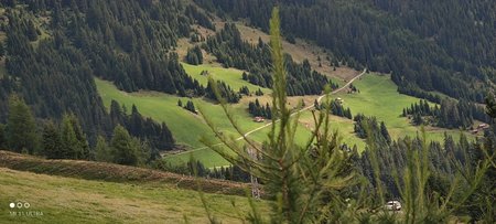 IMG_20210825_113744.jpg