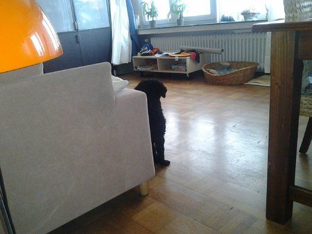 IMG_20120731_175559.jpg