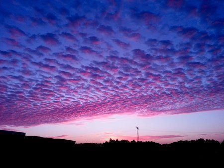 20120802_051351.jpg