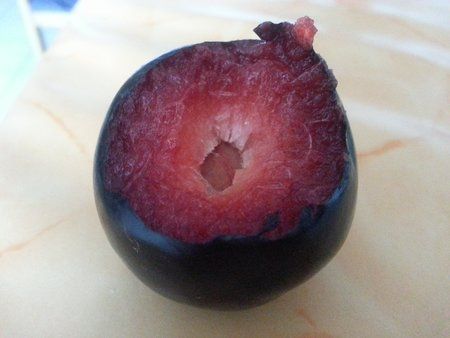 20120729_134957.jpg