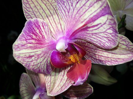 20120804_131250.jpg