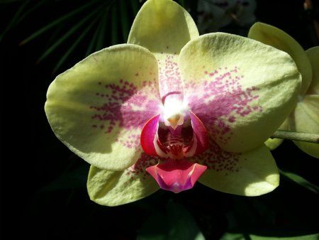 20120804_132114.jpg