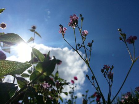 2012-08-04 15.59.55.jpg