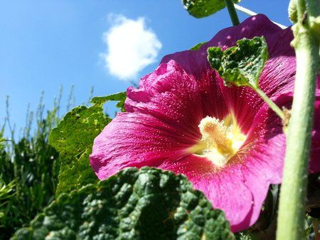 2012-08-04 15.40.55.jpg