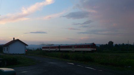 DSC_0205.jpg
