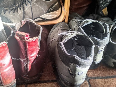 Spinnenschuhe.JPG