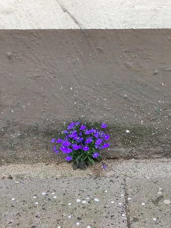 IMG_20210625_101939.jpg