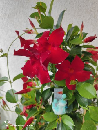 IMG_20210828_101531.jpg