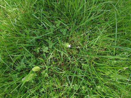 20210831_151212.JPG
