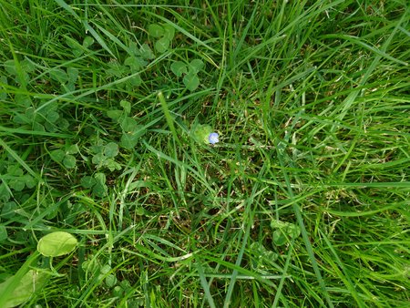 20210831_151215.JPG