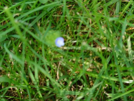 20210831_151218.JPG