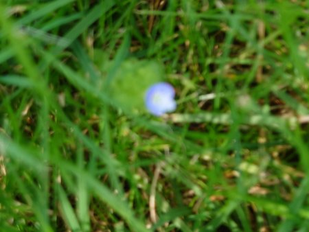 20210831_151221.JPG