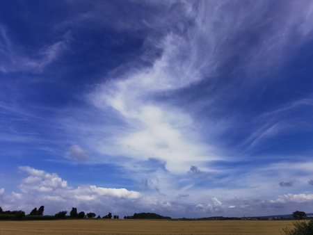 IMG_20210831_151858.jpg
