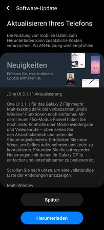 Screenshot_20210902-043348_Software update.jpg