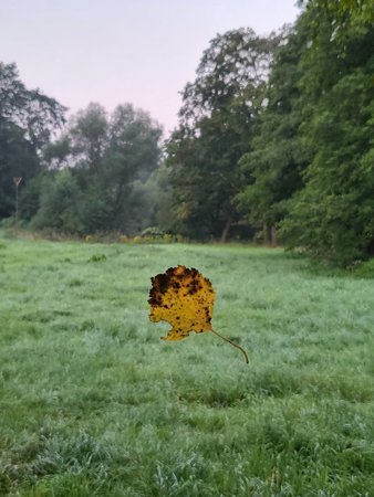 20210904_061950.jpg