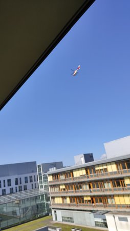 IMG_20210903_114110.jpg