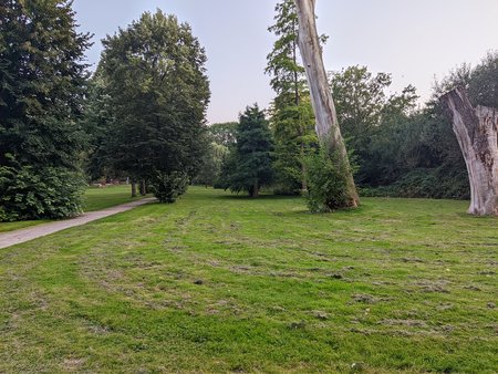 PXL_20210903_201218189.jpg