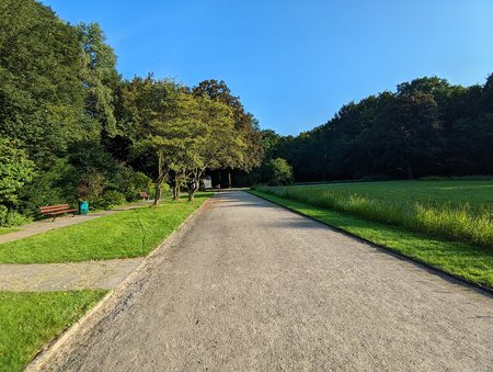 PXL_20210905_180932930.jpg