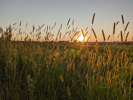 PXL_20210905_171021779.jpg