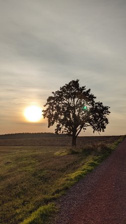 PXL_20210907_172741485.jpg