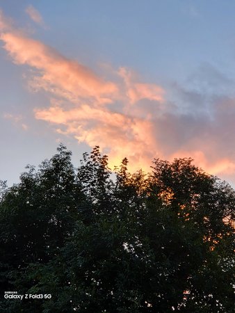 20210909_193044.jpg