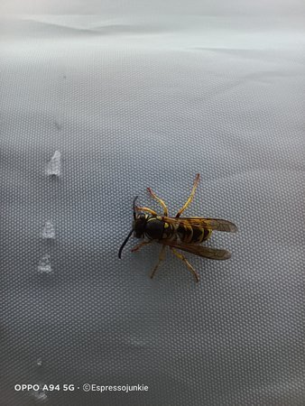 IMG20210910080851.jpg