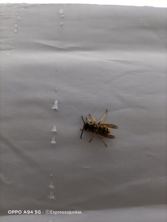 IMG20210910080928.jpg