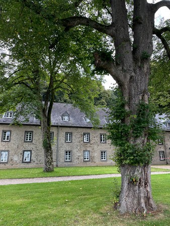 IMG_0385.jpg