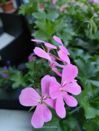 IMG20210909170626.jpg