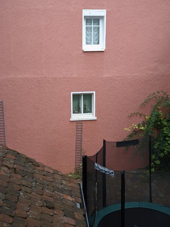 PXL_20210910_083412025.jpg