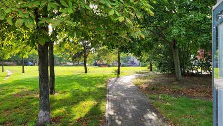 20210910_165040.jpg