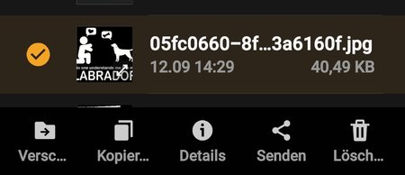 Screenshot_20210912-233109_My Files.jpg
