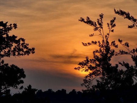 20210913_185736.jpg