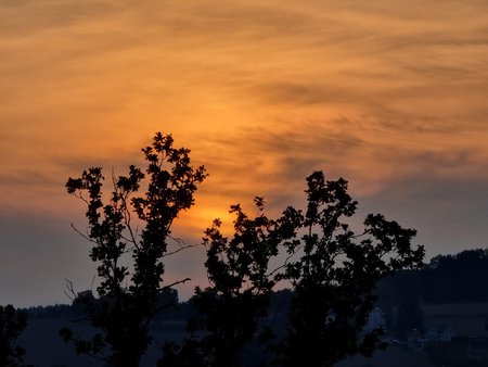 20210913_185846.jpg